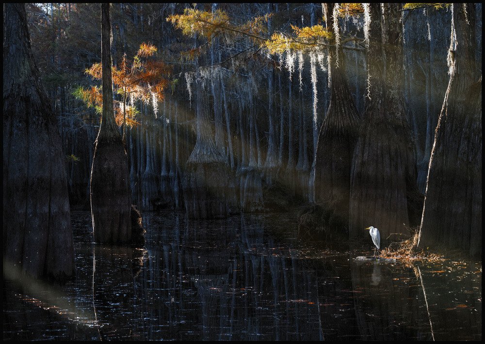 Photograph by STAN DE'TORDUA