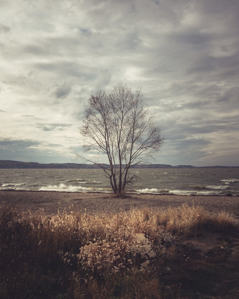 Photograph by Дмитрий Майореску