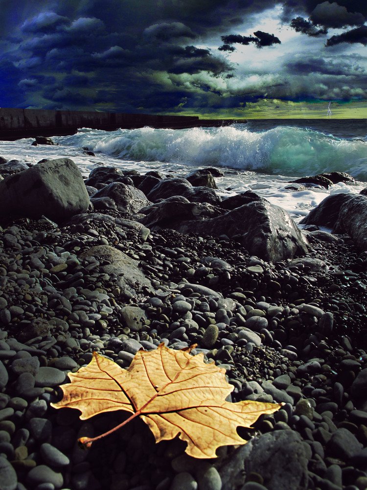 Photograph by Юрий Трофимов