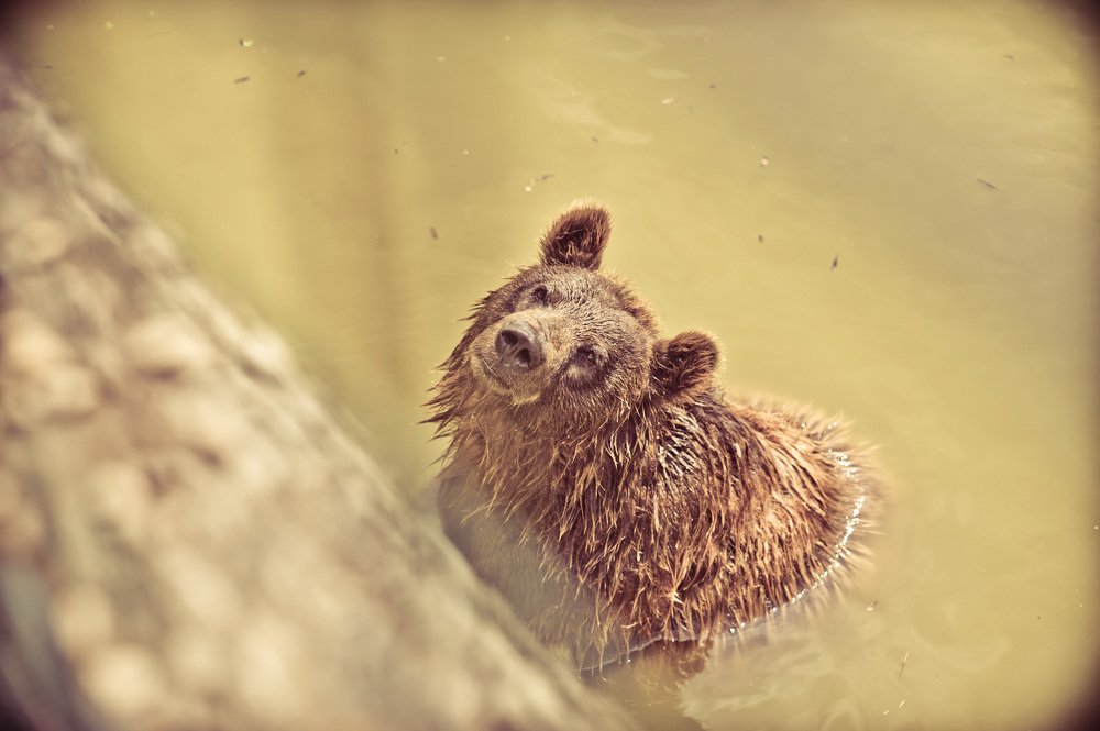 Photograph by Antonio Ciuperca