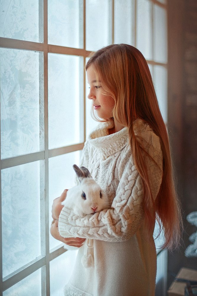 У зимнего окна