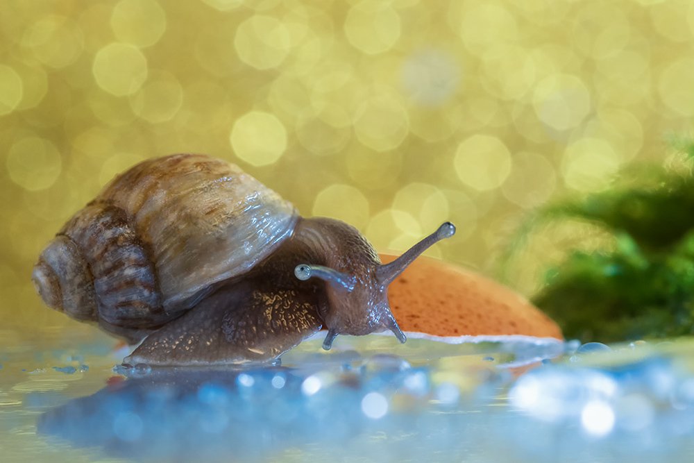 Photograph by Марина Хилько