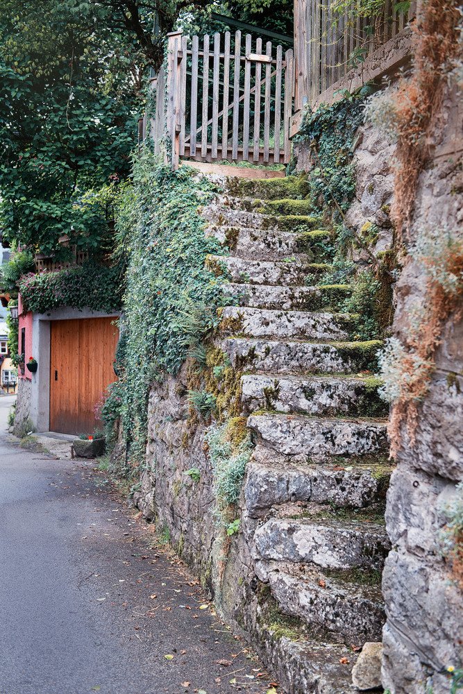 Photograph by Светлана Донская