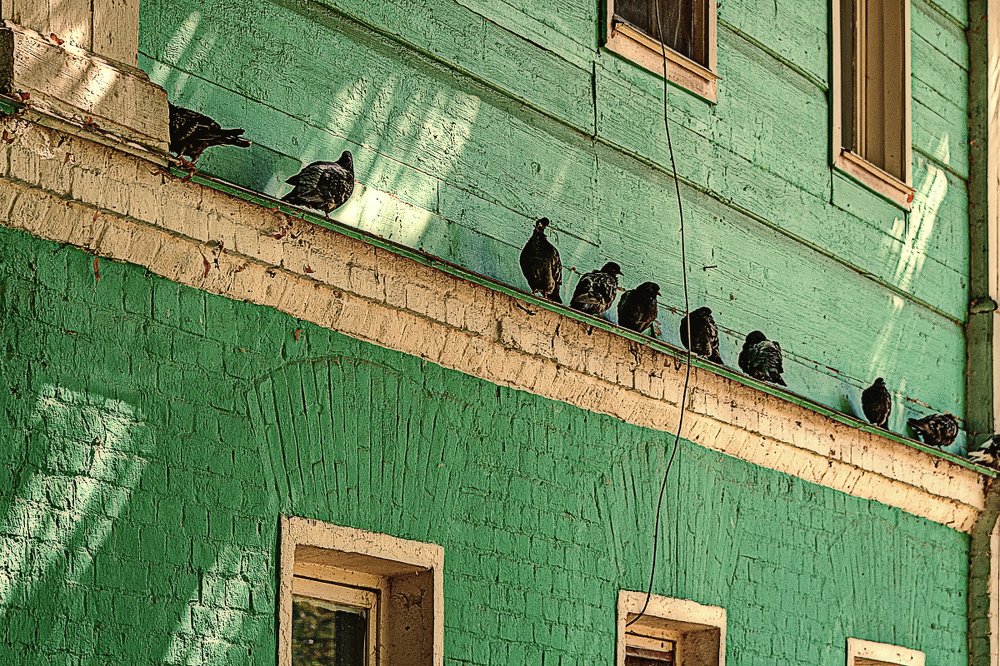 Photograph by Виталий Карасев