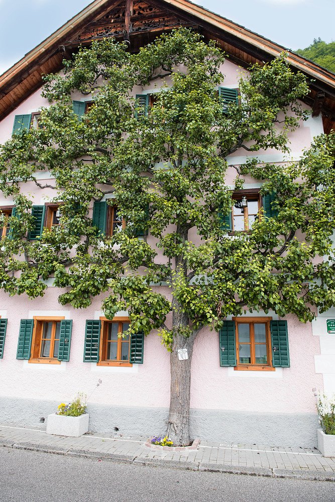 Photograph by Светлана Донская