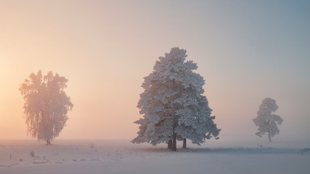 Photograph by Константин Леонтьев