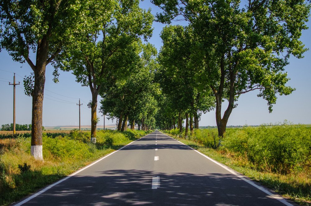 Photograph by Antonio Ciuperca