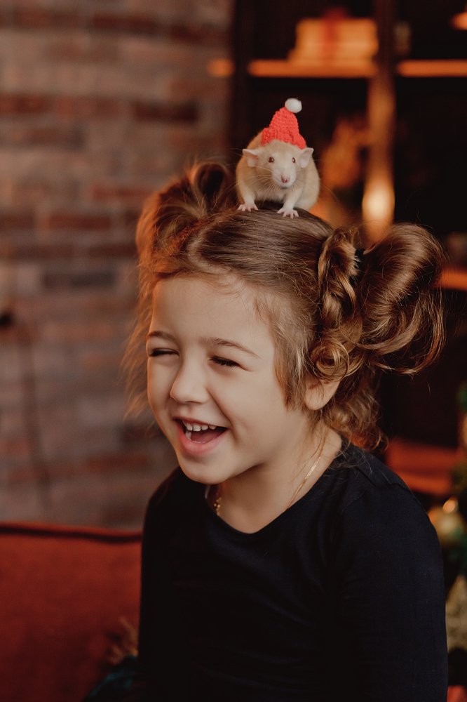 Фотография автора Viktoria Lavrova