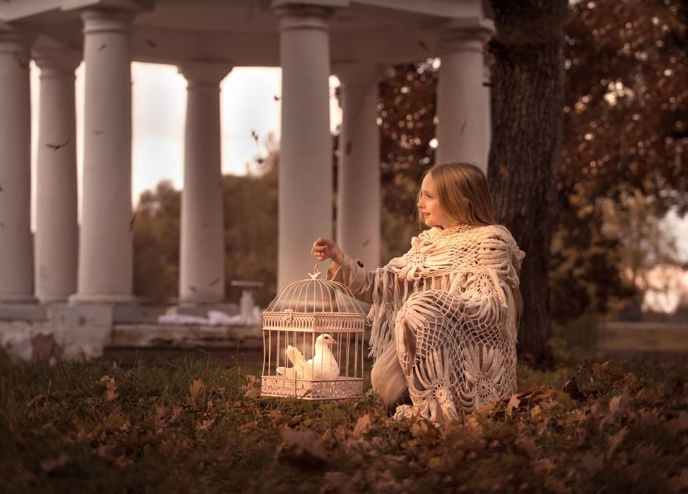 Желанная свобода