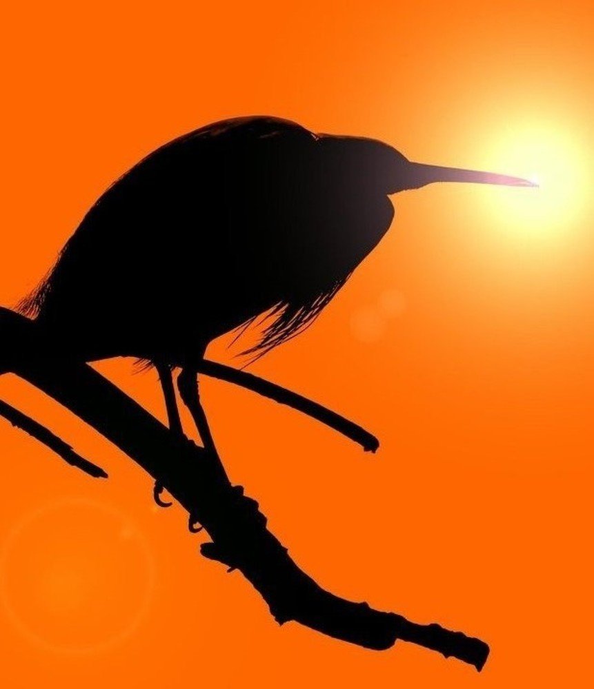 Photograph by Илалов Рустам