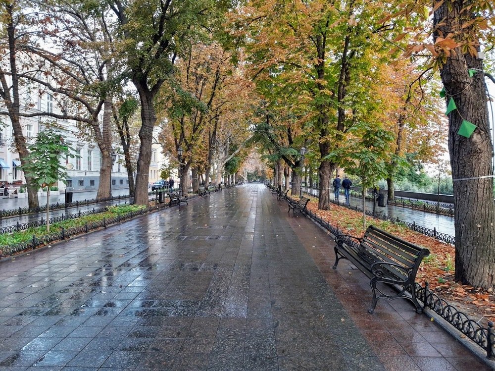 Photograph by Yurii Tofan