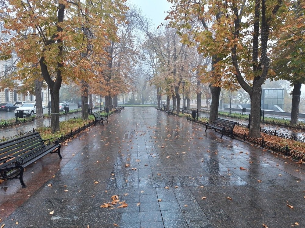 Photograph by Yurii Tofan