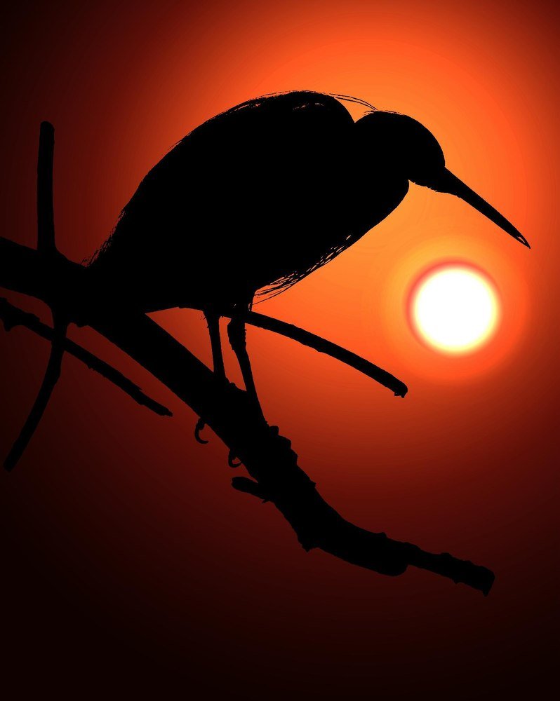 Photograph by Илалов Рустам