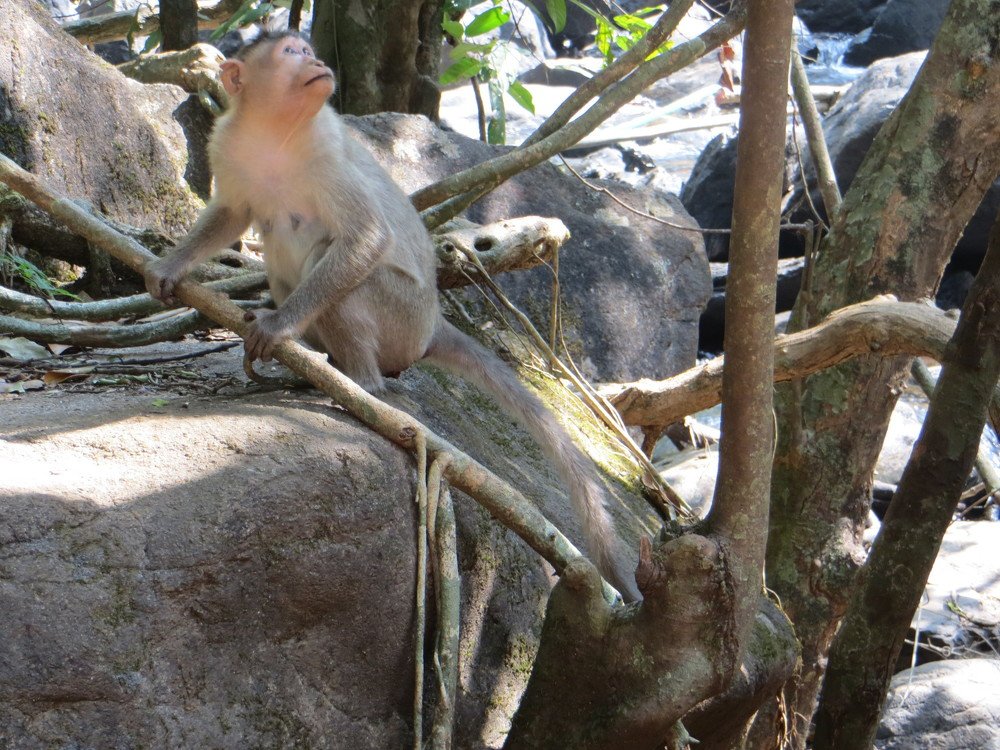 Photograph by Галина