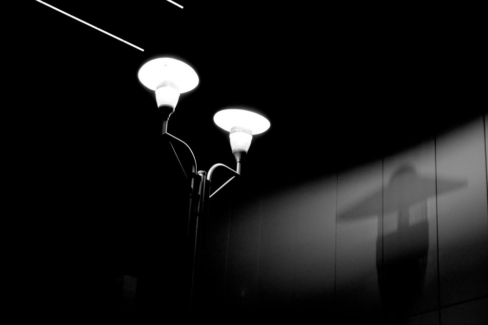 Фотография автора Гудкова Светлана