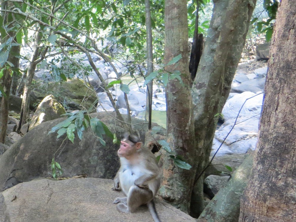 Photograph by Галина