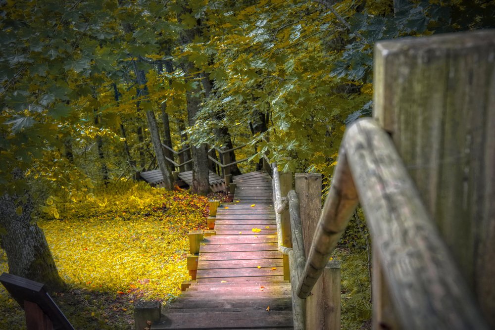 Photograph by Andrey Kim