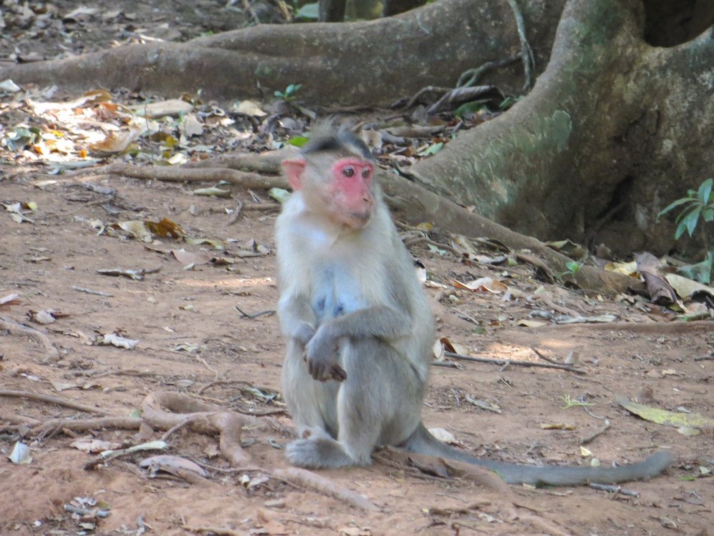 Photograph by Галина