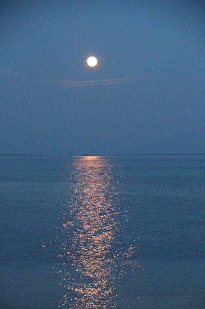 Photograph by Валентина