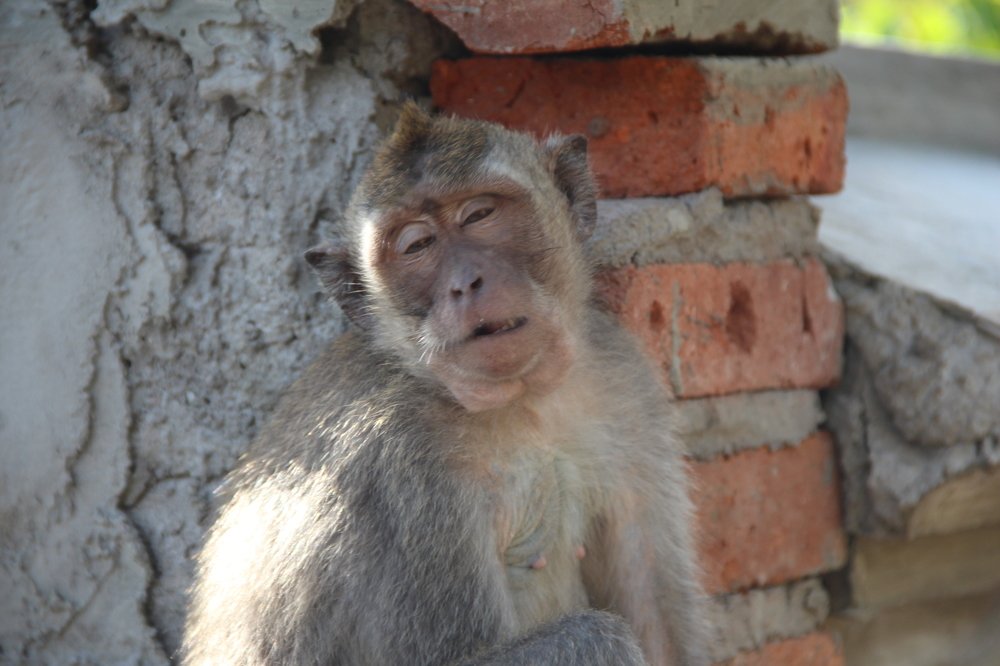 Photograph by Валентина