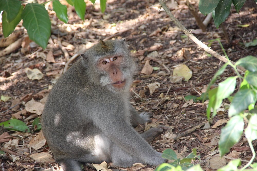 Photograph by Валентина