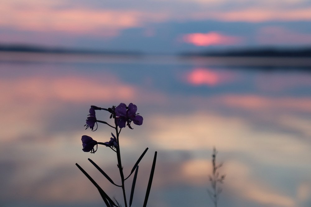 Photograph by Валентина