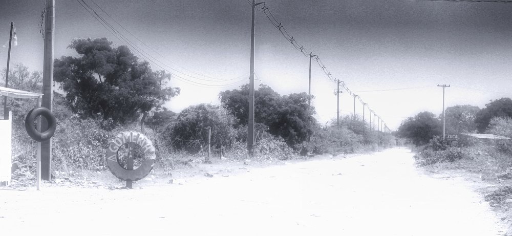 Photograph by Clara Mernes