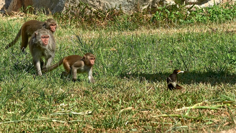 Photograph by Алексей Кисель