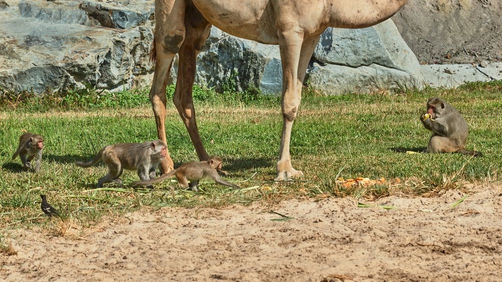 Photograph by Алексей Кисель