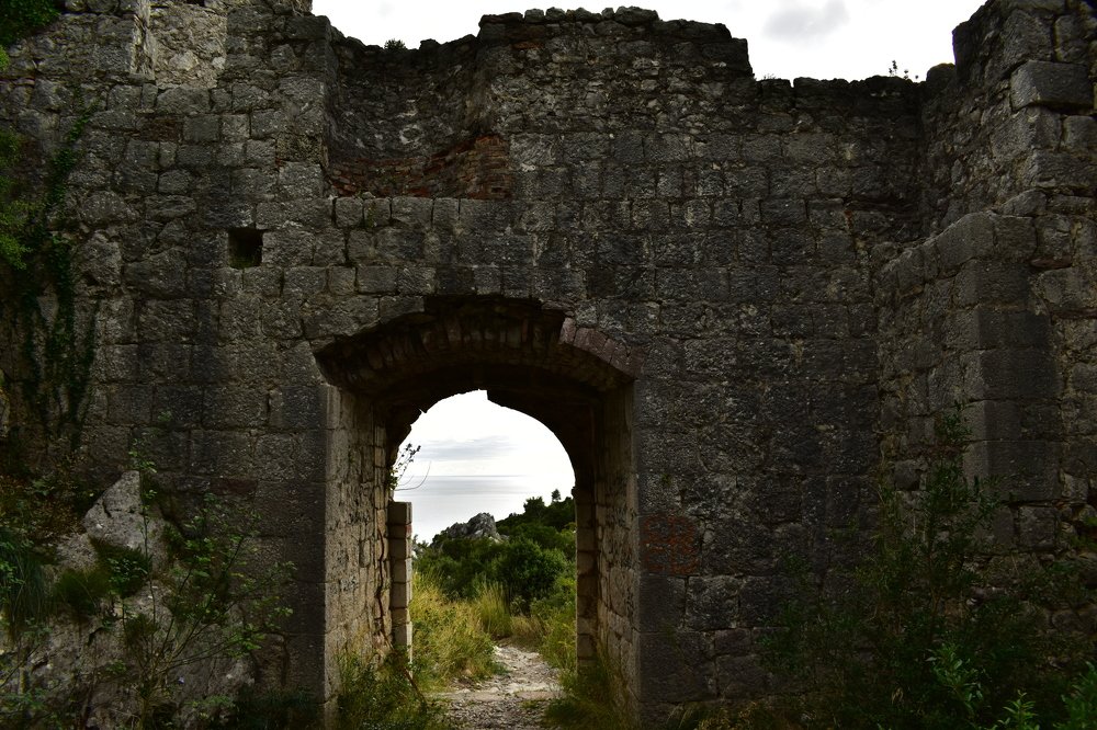 Photograph by Сергей Садчиков