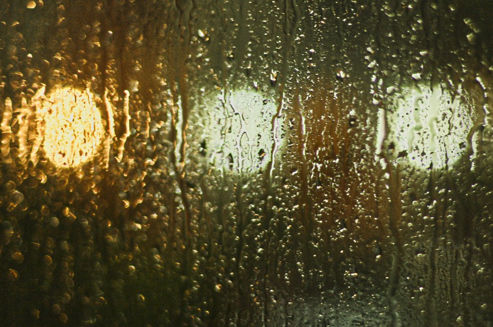 Photograph by Clara Mernes