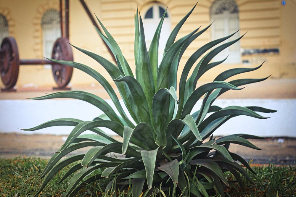 Photograph by Clara Mernes