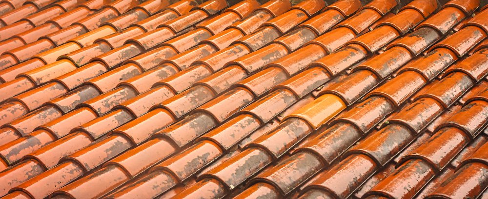 Photograph by Clara Mernes