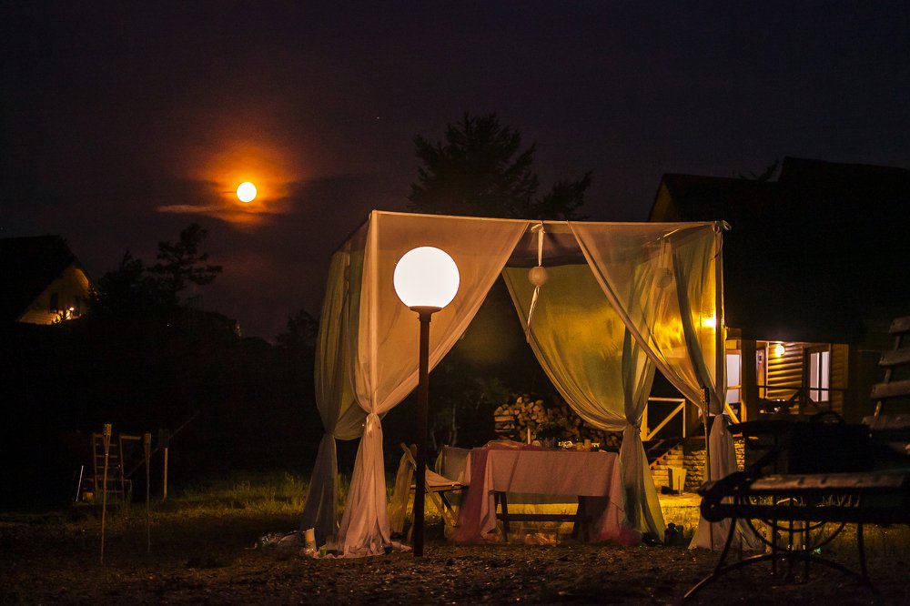 Photograph by Ирина Кузькина