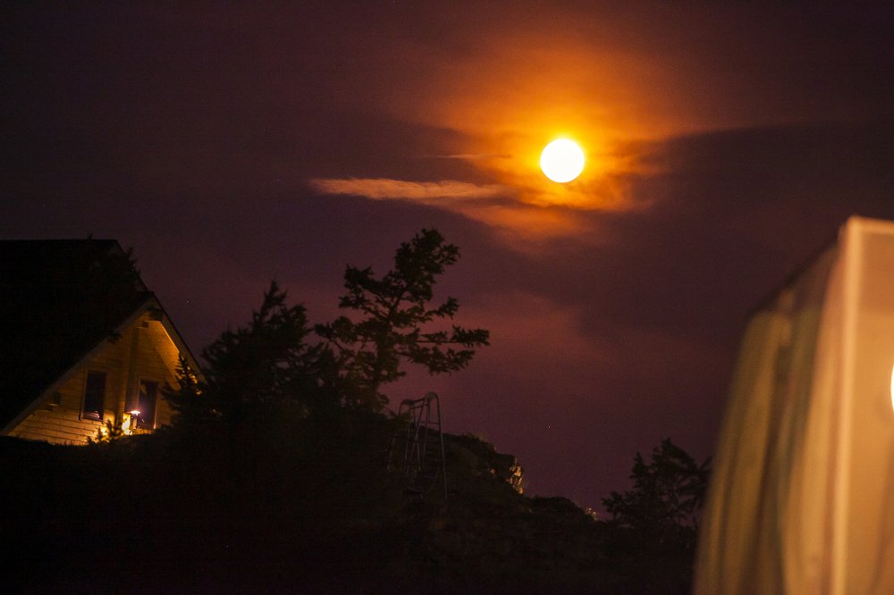 Photograph by Ирина Кузькина