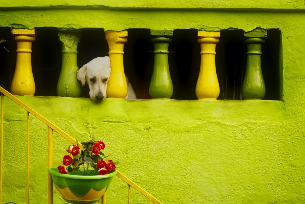 Photograph by Clara Mernes