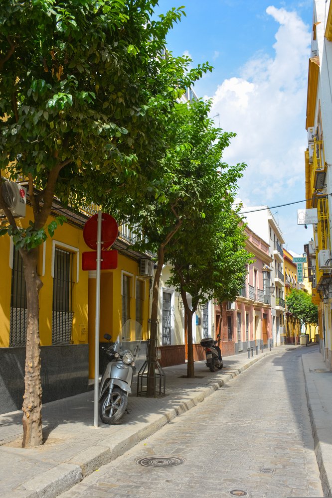 Photograph by Юлия Маврина