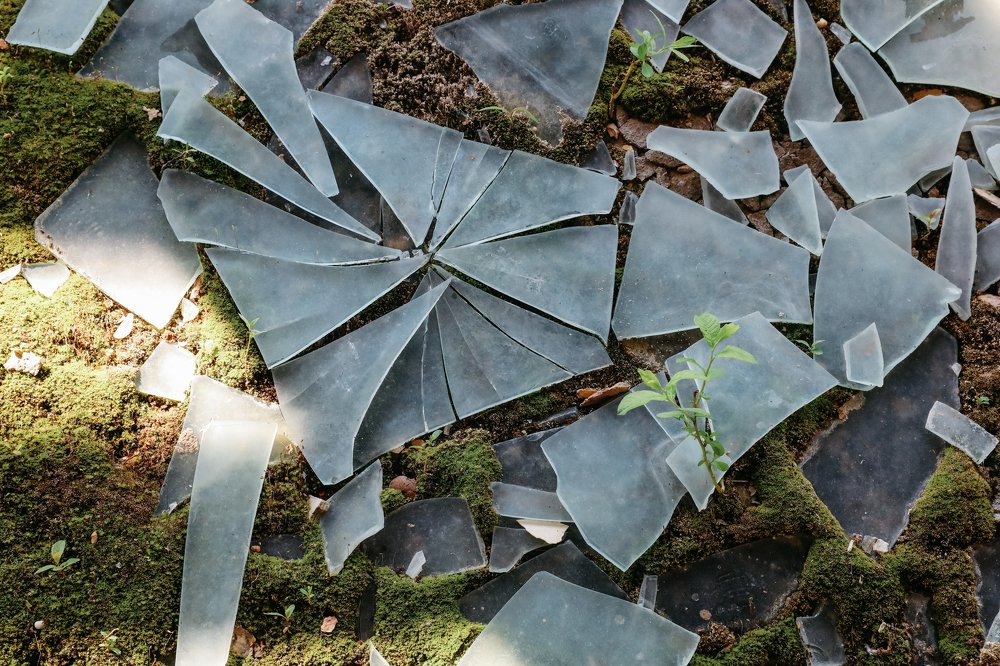 Фотография автора Алёна Новосельцева