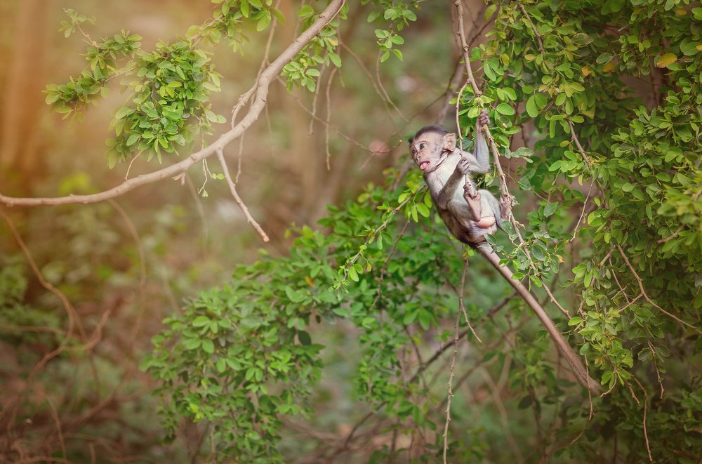 Photograph by Ronaldo Edson Reyes