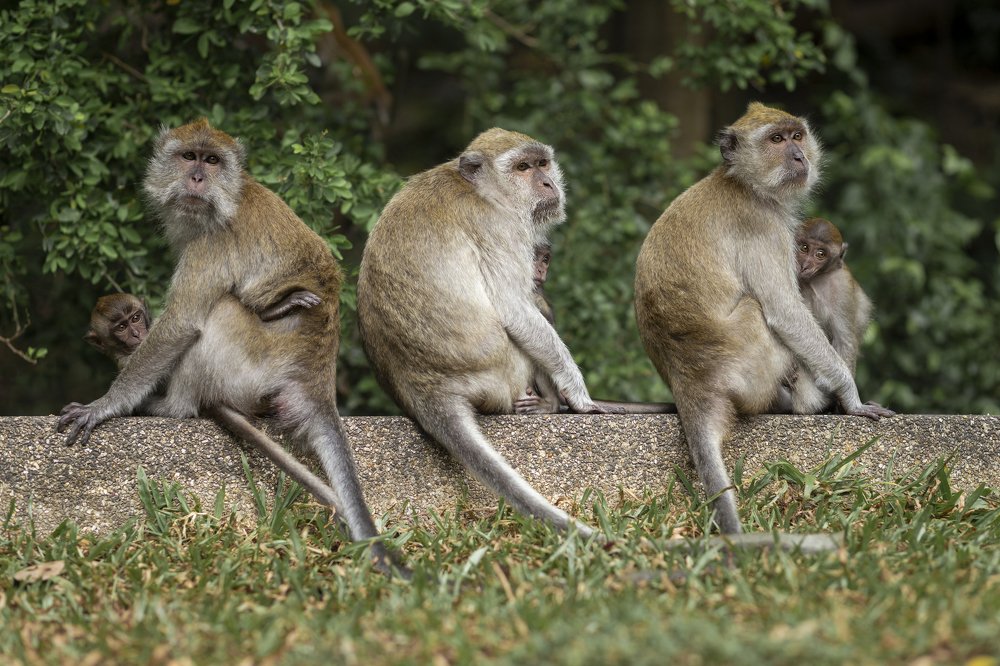 Photograph by Ronaldo Edson Reyes