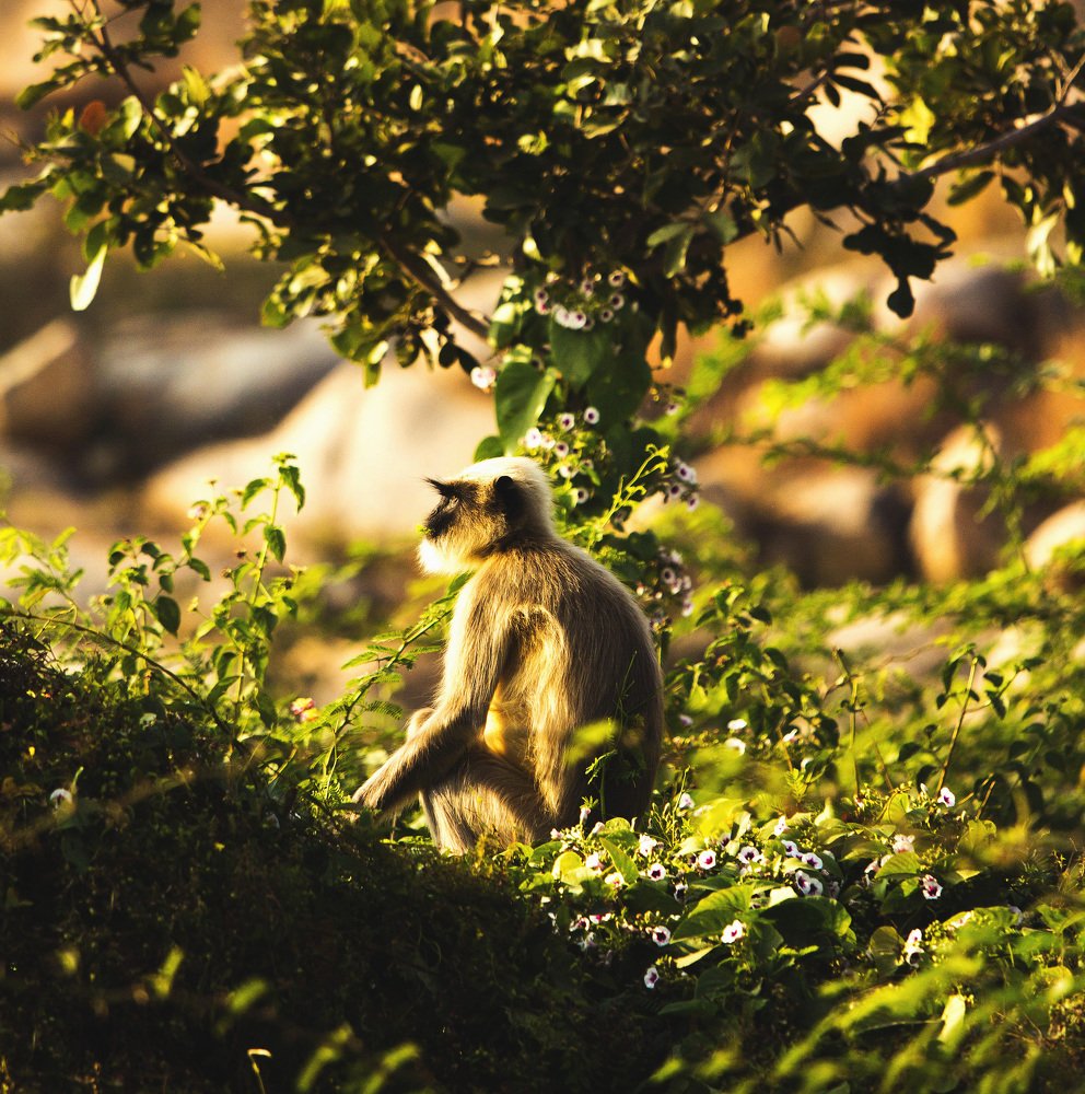 Photograph by Виталий Гуляев