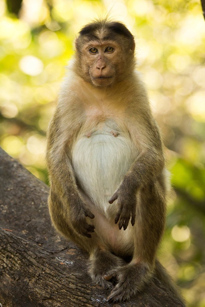 Photograph by Виталий Гуляев