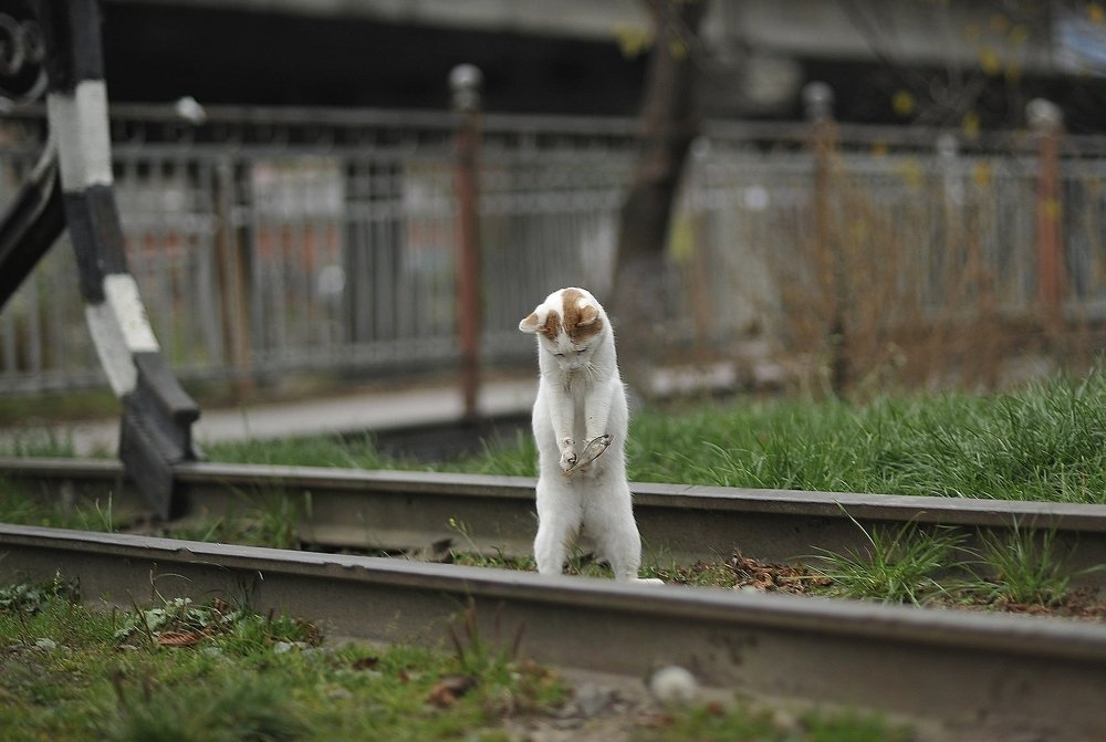 Photograph by Виталий Пилипенко