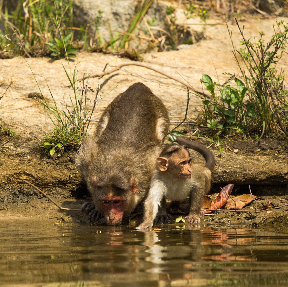 Photograph by Виталий Гуляев