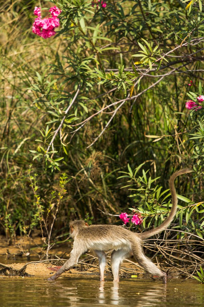 Photograph by Виталий Гуляев