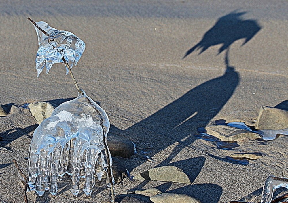 Photograph by Александр Велигура