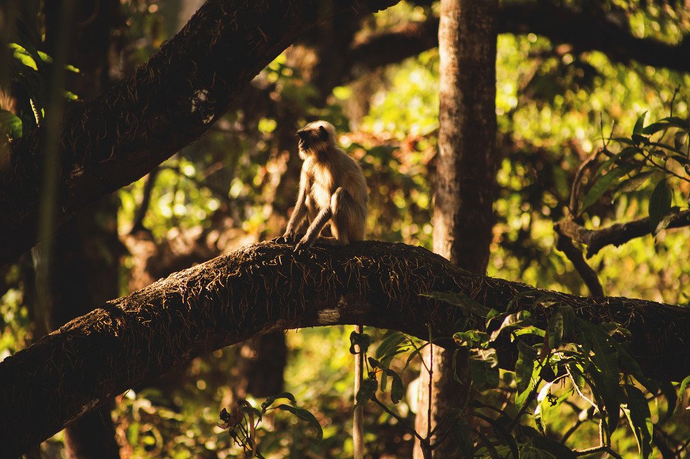 Photograph by Виталий Гуляев