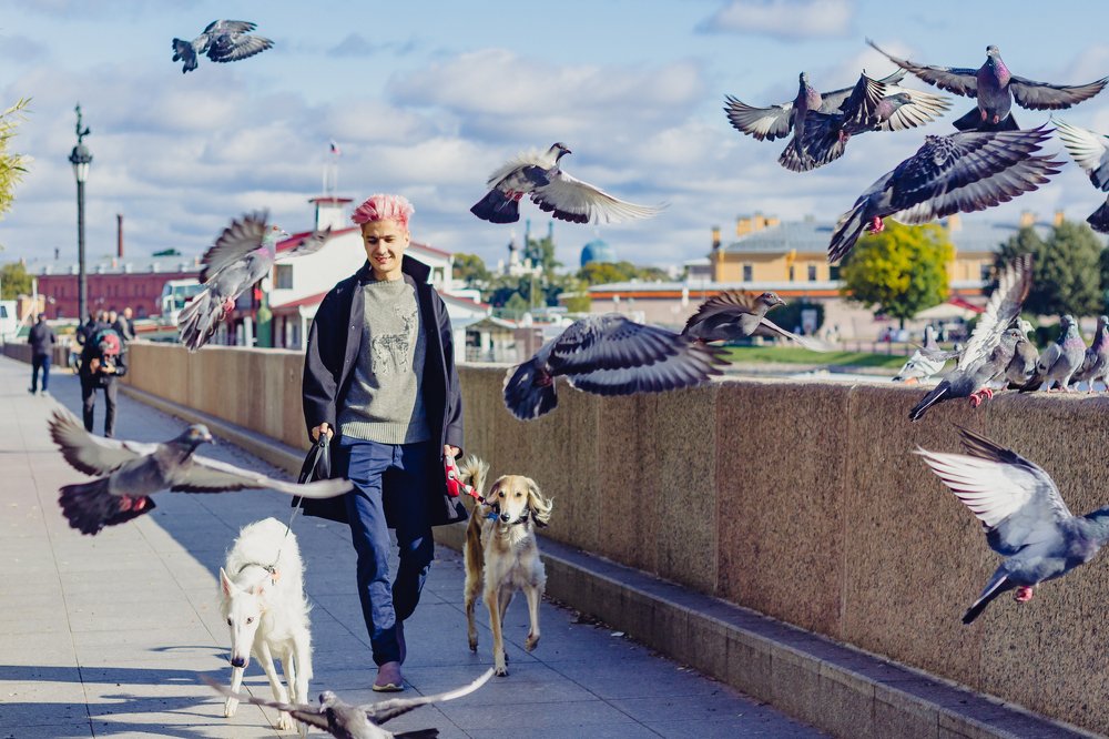 Прогулка с гончими