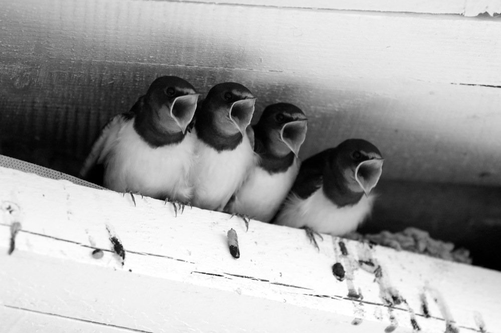 Photograph by Елена Колосова