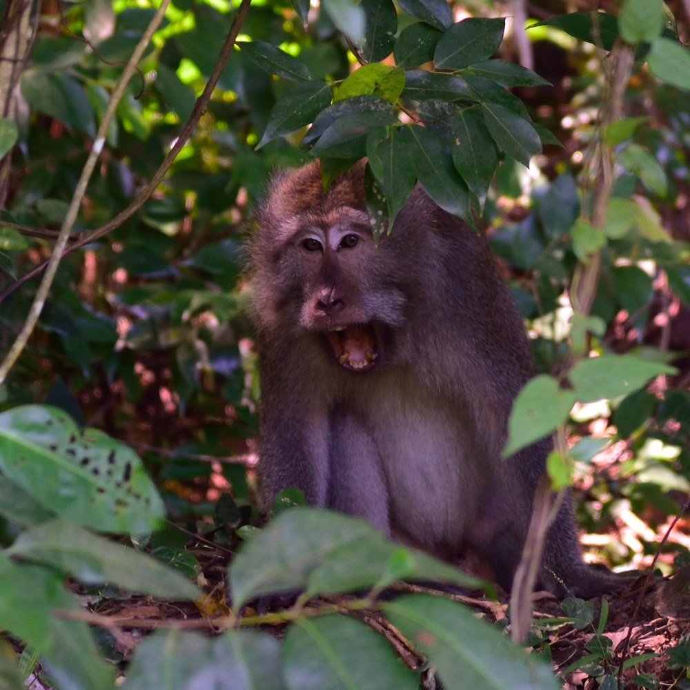 Photograph by Karasev Pavel